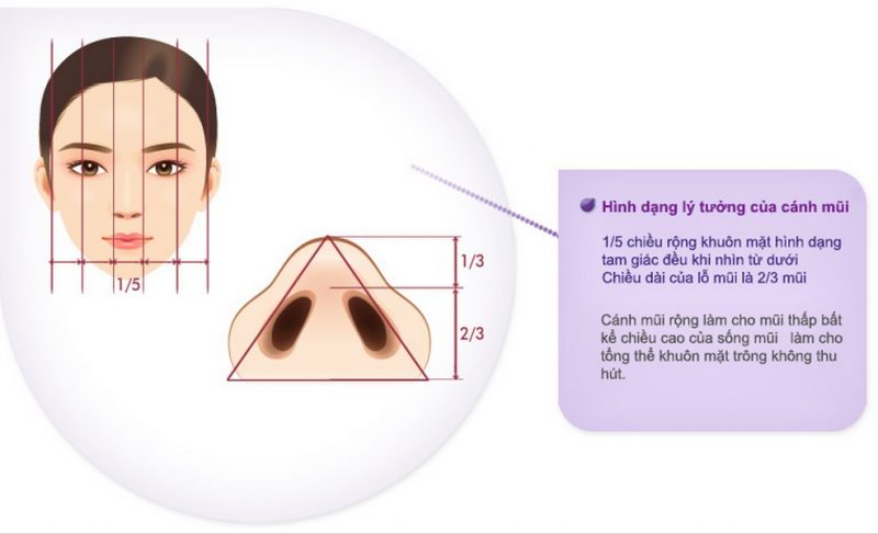 Phẫu thuật thu gọn cánh mũi giúp bạn khắc phục những khuyết điểm