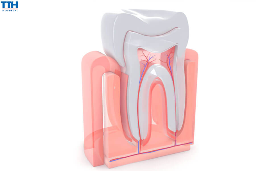 Điều Trị Tủy Răng Là Gì?